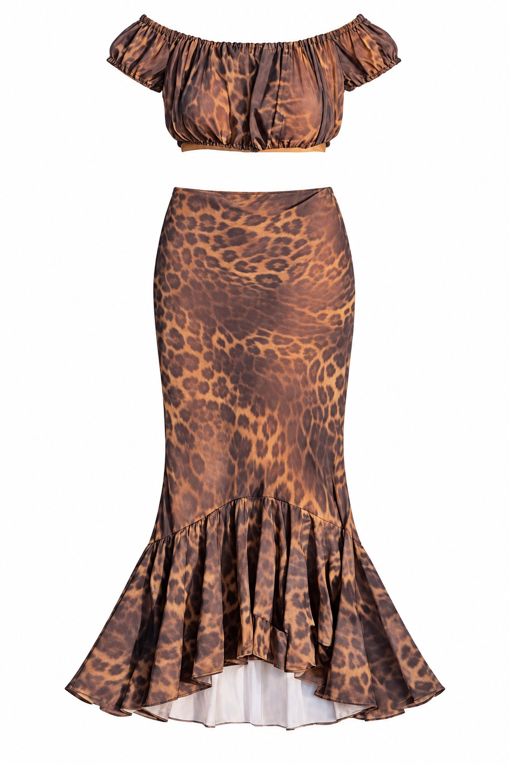 Leopard-print cropped top and maxi skirt